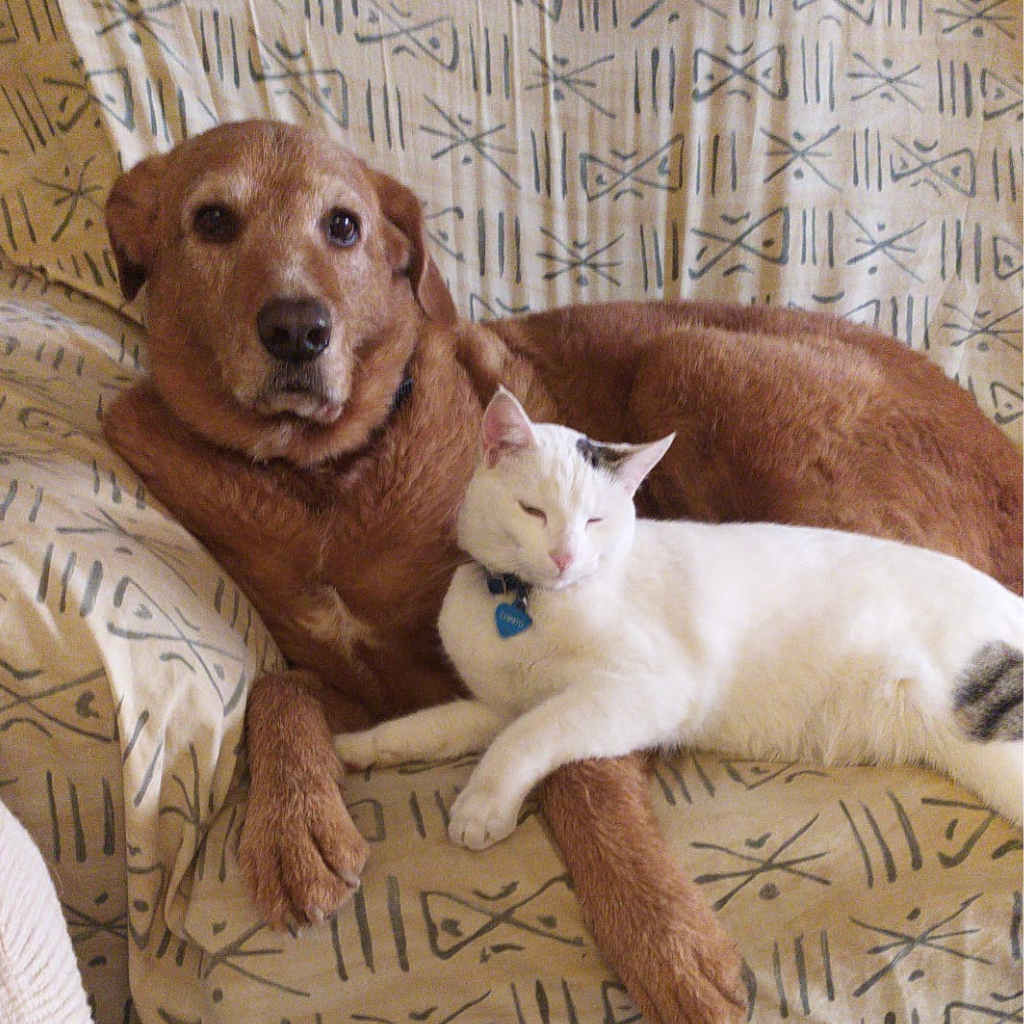 Paco y Chinito