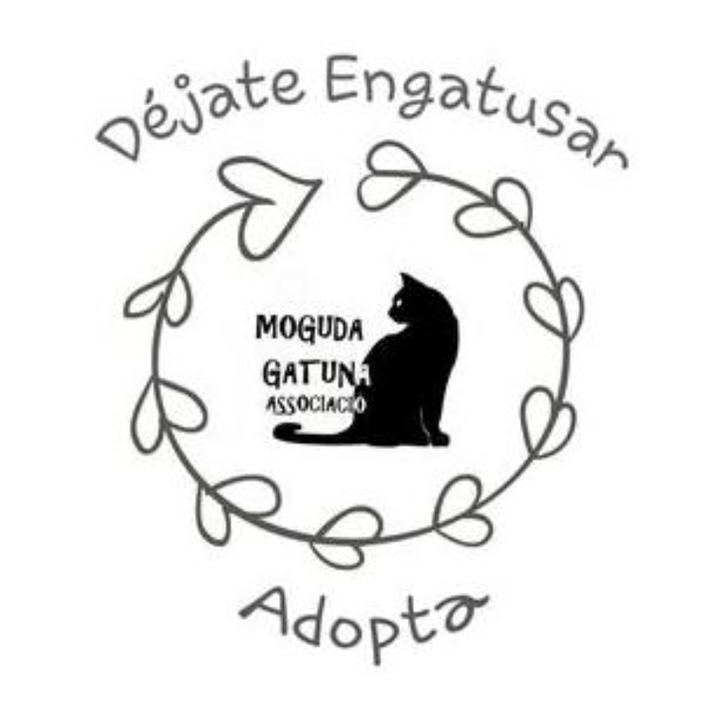 Adopció Moguda Gatuna Asociació