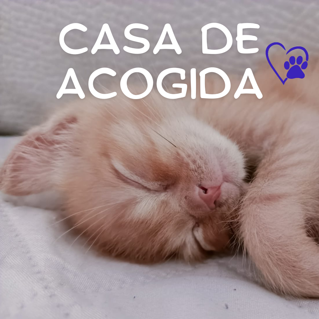 Casa de acogida barcelona